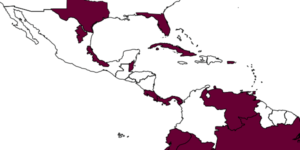 map of Aenasius caeruleus     Brues, 1910